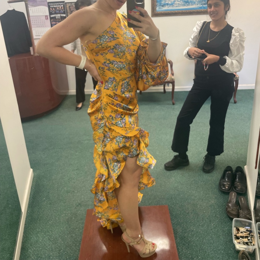 Bronx & Banco Hanna gown size 2